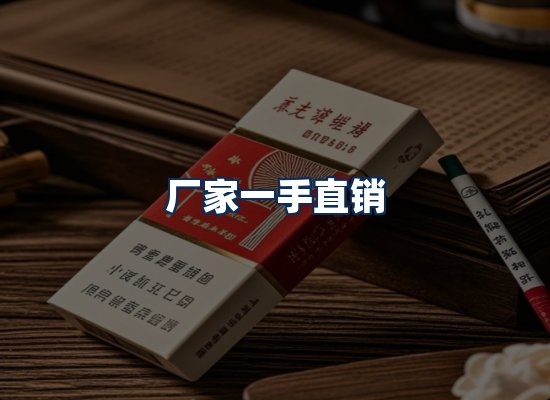 专业团队办公环境